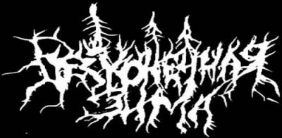 logo Neverending Winter